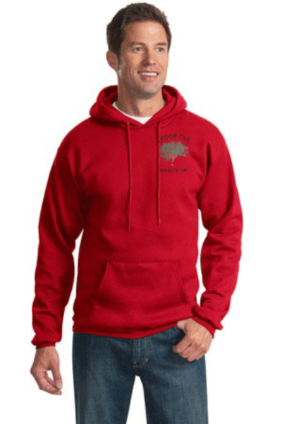 Picture of Troop 750 Heavy-Blend Hoodie with Logo