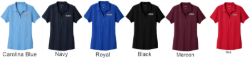 Picture of Pediatric Associates Women's Performance Polo