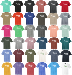 Picture of Ivyrehab Triblend T-Shirt