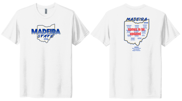 Picture of Madeira Swim State Triblend T