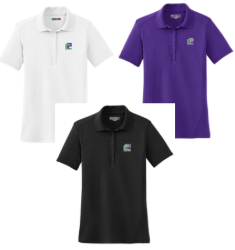 Picture of CIP Retail Ladies Raglan Polo