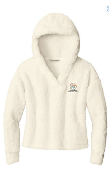 Picture of AOC Port Authority Fleece Hoodie