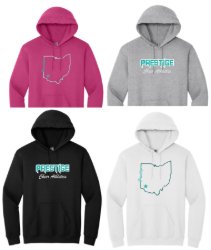 Picture of PCA Gildan Hoodie