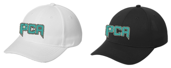 Picture of PCA Sport Tek Cap