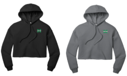 Picture of Mason Color Guard Cropped Hoodie