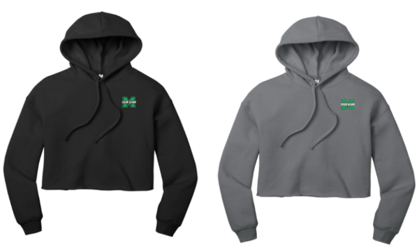 Picture of Mason Color Guard Cropped Hoodie
