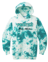Picture of PCA Teal Youth Hoodie