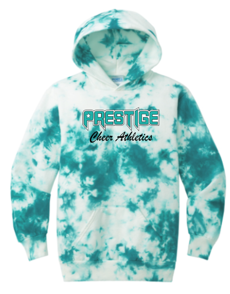 Picture of PCA Teal Youth Hoodie