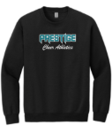 Picture of PCA GLITTER Crewneck