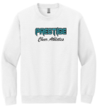 Picture of PCA GLITTER Crewneck