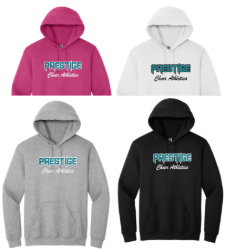 Picture of PCA GLITTER Hoodie