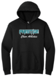 Picture of PCA GLITTER Hoodie