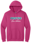 Picture of PCA GLITTER Hoodie