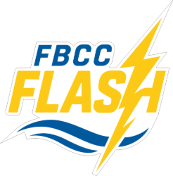 Picture of FBCC Flash Car Decal