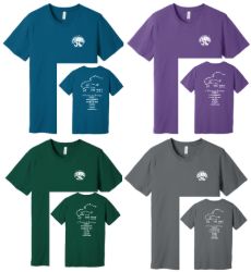 Picture of Camino 26 Triblend T