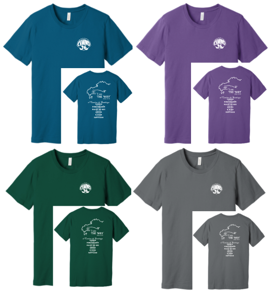 Picture of Camino 26 Triblend T