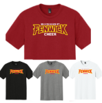 Picture of Fenwick Cheer 26 Triblend Tee