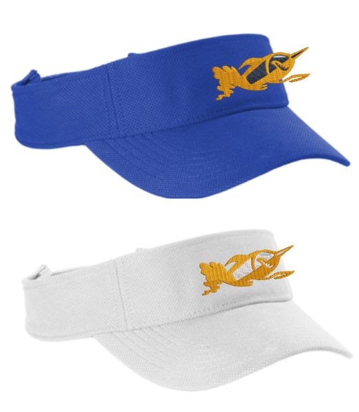 Picture of CY S26 Visor