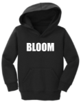 Picture of Bloom Carhartt Toddler Black Hoodies