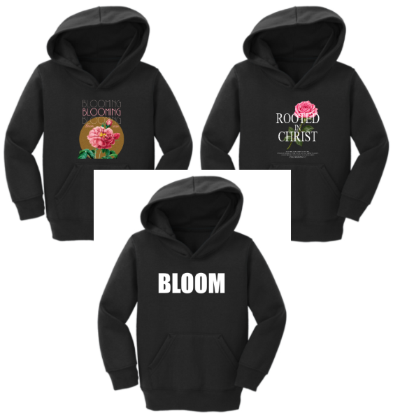 Picture of Bloom Carhartt Toddler Black Hoodies