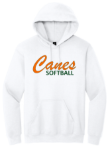 Picture of Canes SB Hoodie