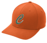 Picture of Canes SB Hat