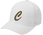 Picture of Canes SB Hat