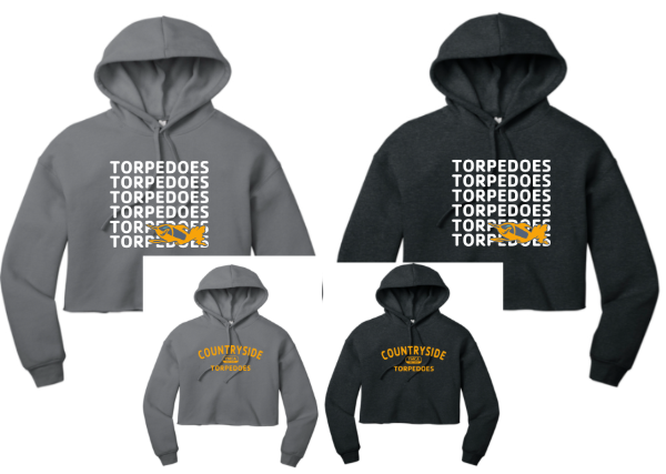 Picture of CY F26 Cropped Hoodie